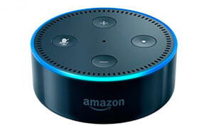 Echo Dot