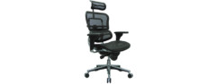 Ergohuman High Back Swivel