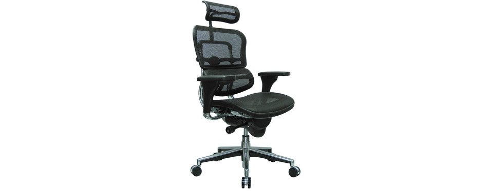 Ergohuman High Back Swivel
