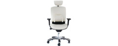 GM Seating Ergolux