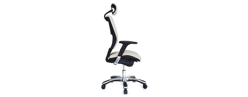GM Seating Ergolux