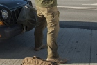 Helikon-Tex Urban Tactical Pants