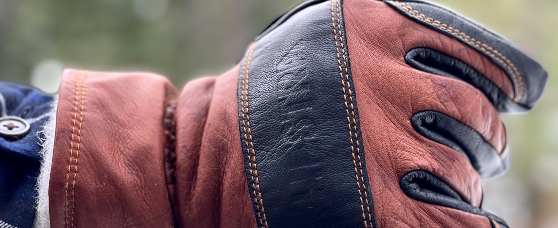 Hestra Fält Guide Glove Review