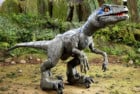 Jurassic World Alpha Training Blue