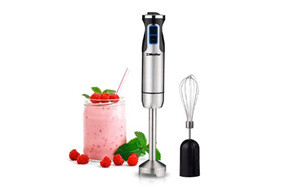 Mueller Austria Multi-Purpose Immersion Blender