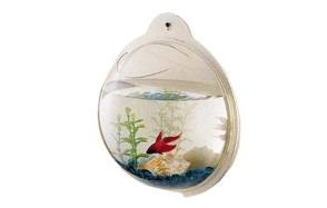 cnz wall mounted fish bowl