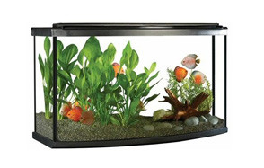 fluval premium aquarium