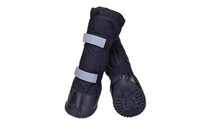 hipaw winter dog boots
