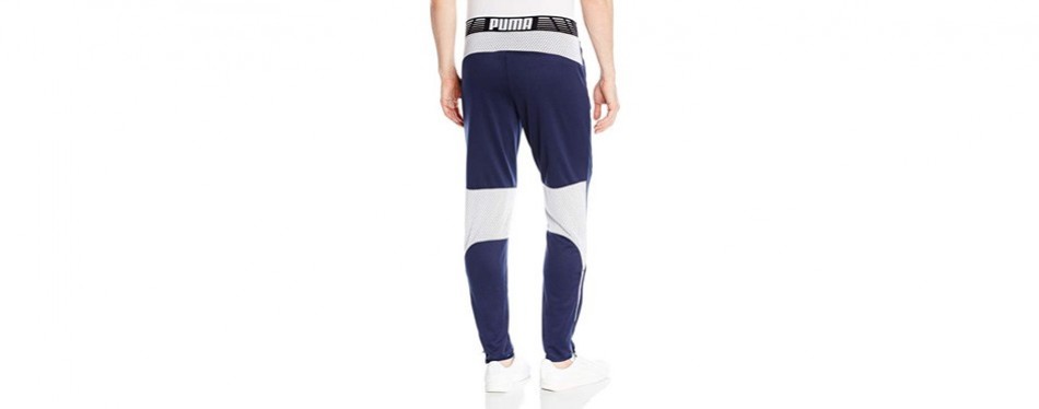 puma men's flicker pants