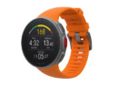 Polar Vantage V
