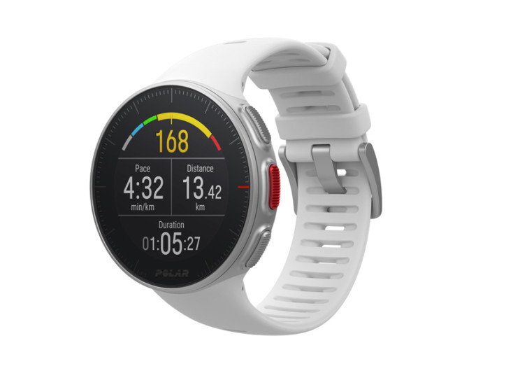 polar vantage v small