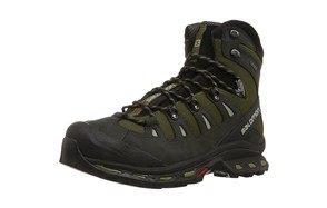 Salomon Quest 4D 2 GTX