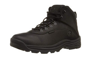 Timberland White Ledge Men's Waterproof Shoe