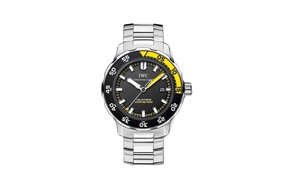 Timeless IWC Watches