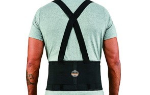 ergodyne proflex economy elastic back support
