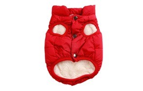 joydaog warm dog jacket