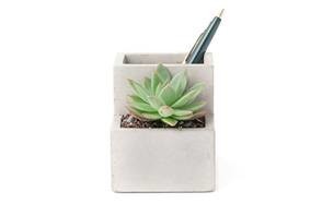 kikkerland concrete desktop planter