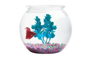 koller products panaview globe fish bowl