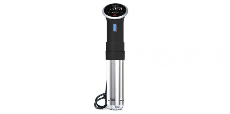 anova culinary sous vide