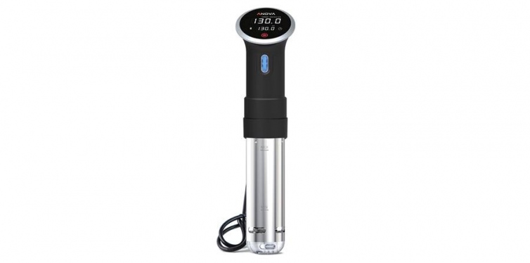 anova culinary sous vide