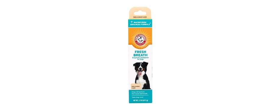 arm & hammer dog toothpaste