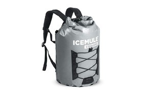 best backpack cooler