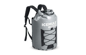 best backpack cooler
