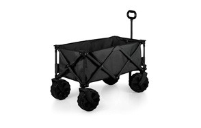 best beach wagons