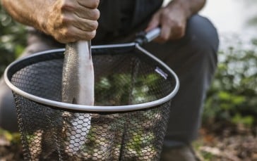 RESTCLOUD Fishing Landing Net Review - Perfect Tool for Every Angler? 