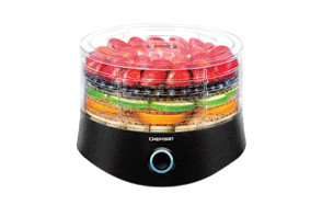 best food dehydrator