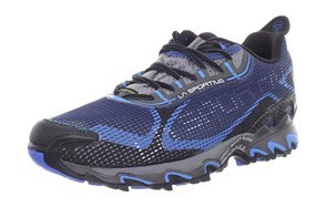 best gore tex trail running shoes