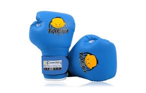 best boxing gloves