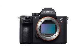 best mirrorless camera