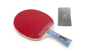 best ping pong paddles