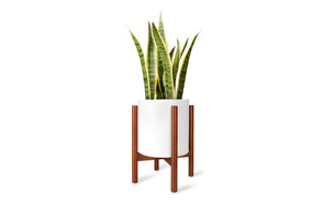 best plant stands