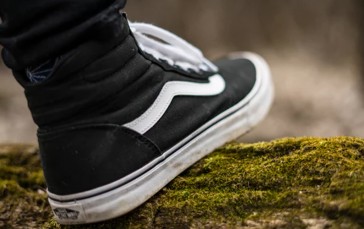 best vans shoes 2018