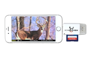 BoneView Viewer For Apple IPhone & IPad