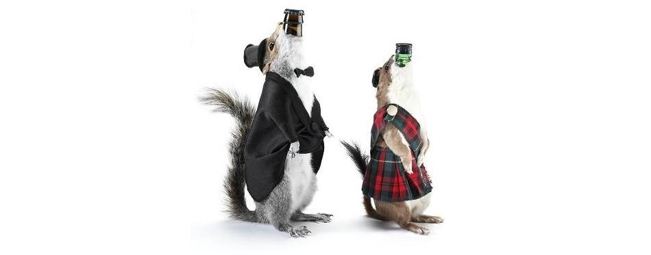 brewdog the end of history