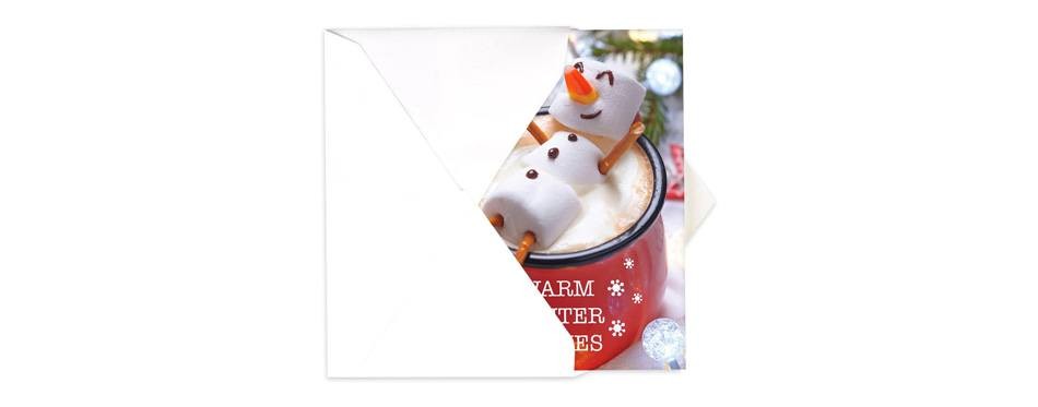 canopy street cocoa snowman holiday card pack