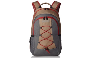 Coleman Soft Cooler