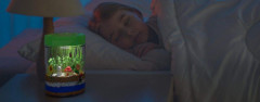 dan & darci light-up terrarium kit