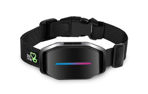 dog care dog bark collar