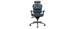ergohuman high back swivel