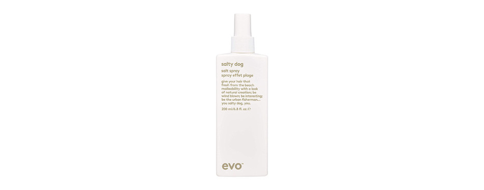 evo salty dog salt spray