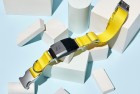 fi smart collar - sleep tracker