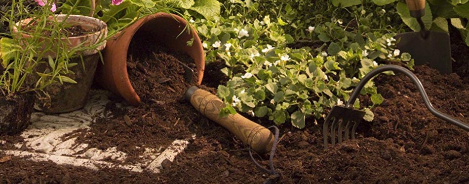 flexrake dandelion weeder