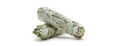 glofx white sage bundle