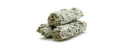 glofx white sage bundle