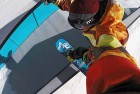 gopro the handler