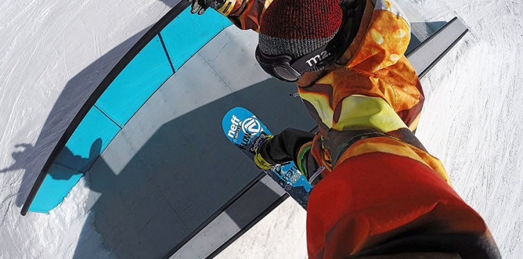 gopro the handler